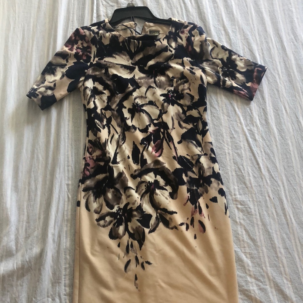 Taylor Dress: size 4